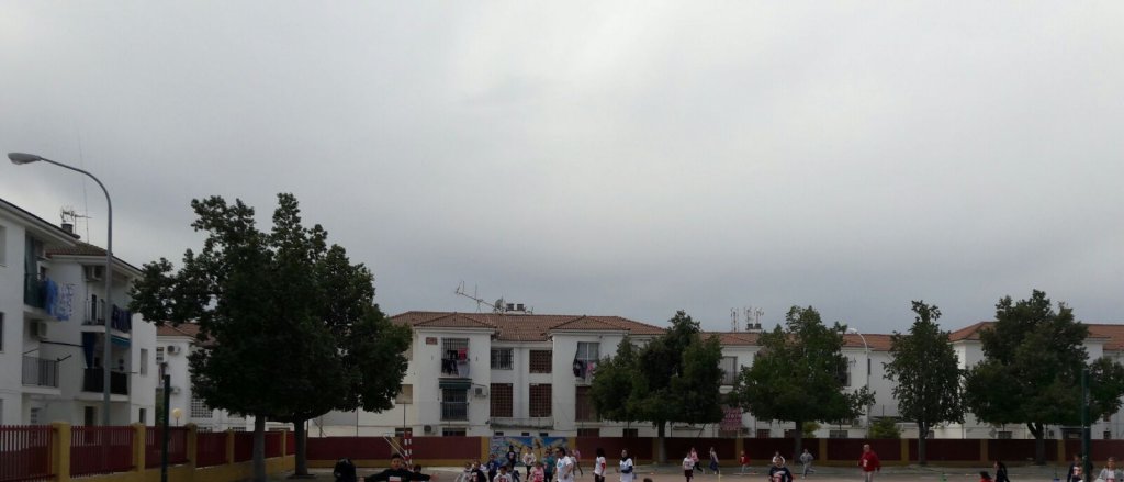 14carrera_ceipmaestroenriqueasensi_3.jpg 14carrera_ceipmaestroenriqueasensi_3.jpg
