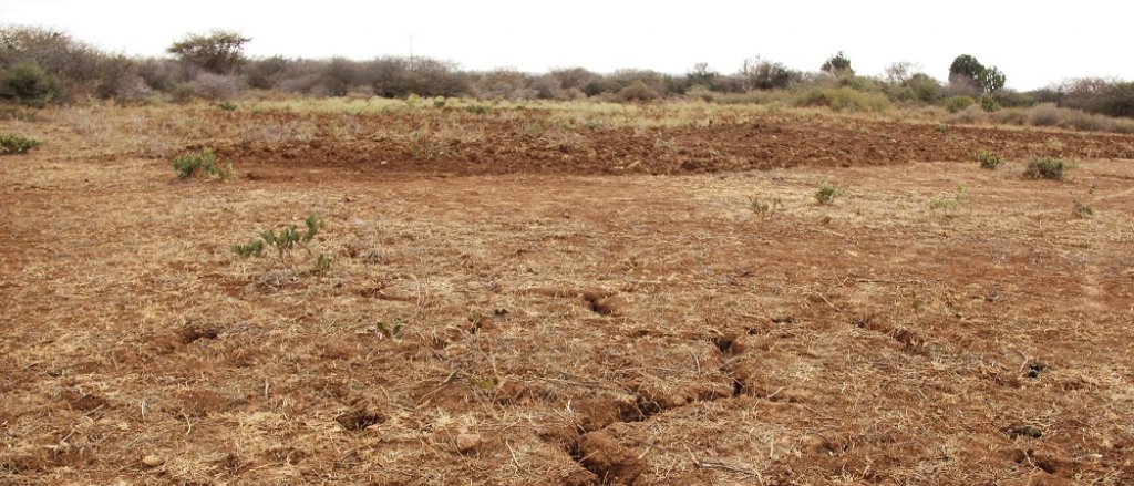 el-nino-desastre-natural-sequia-inundacion-save-children.jpg el-nino-desastre-natural-sequia-inundacion-save-children.jpg