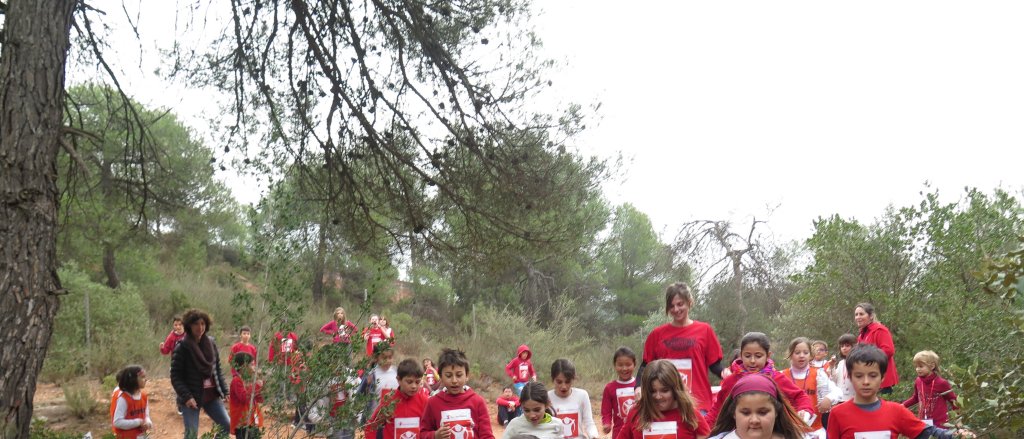 img_3687.jpg img_3687.jpg
