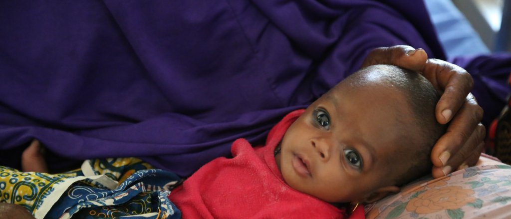 lago-chad-nigeria.jpg lago-chad-nigeria.jpg