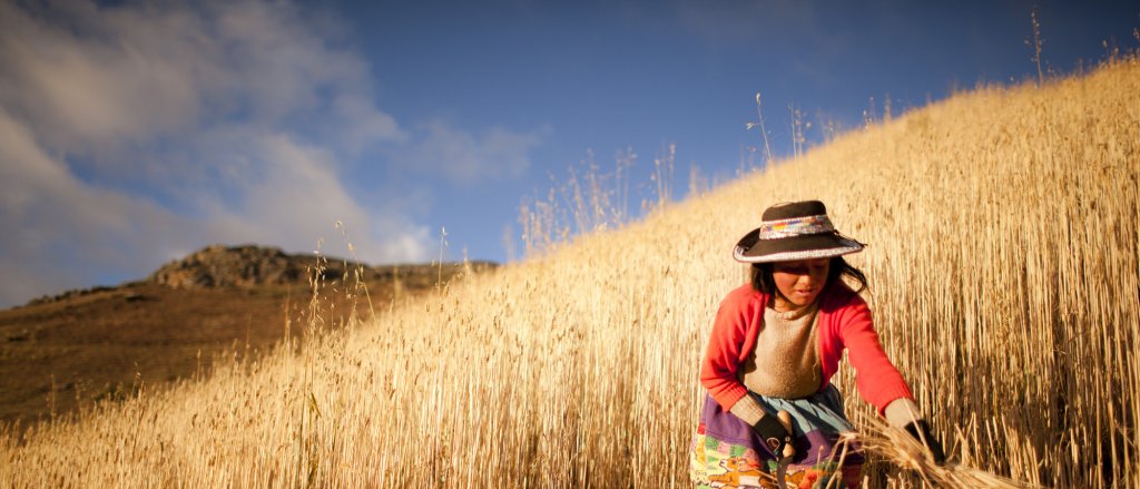 pobreza_infantil_peru_savethechildren.jpg