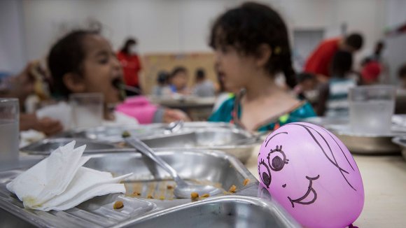 Nutrició i alimentació