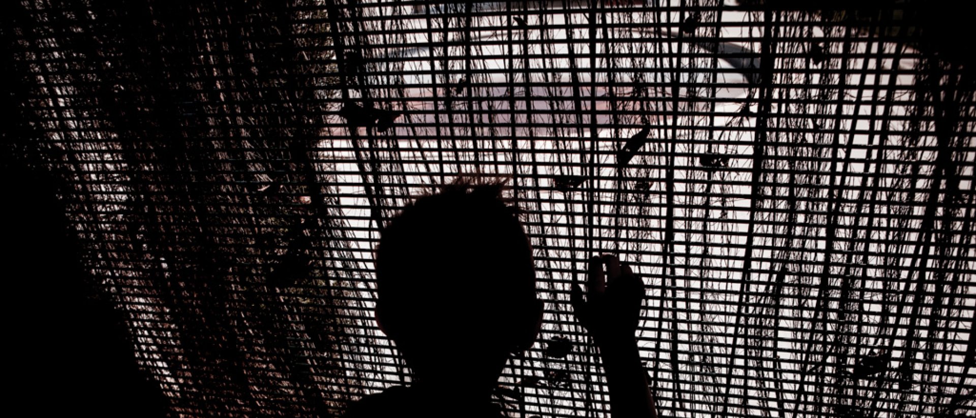 violencia - sombras violencia - sombras