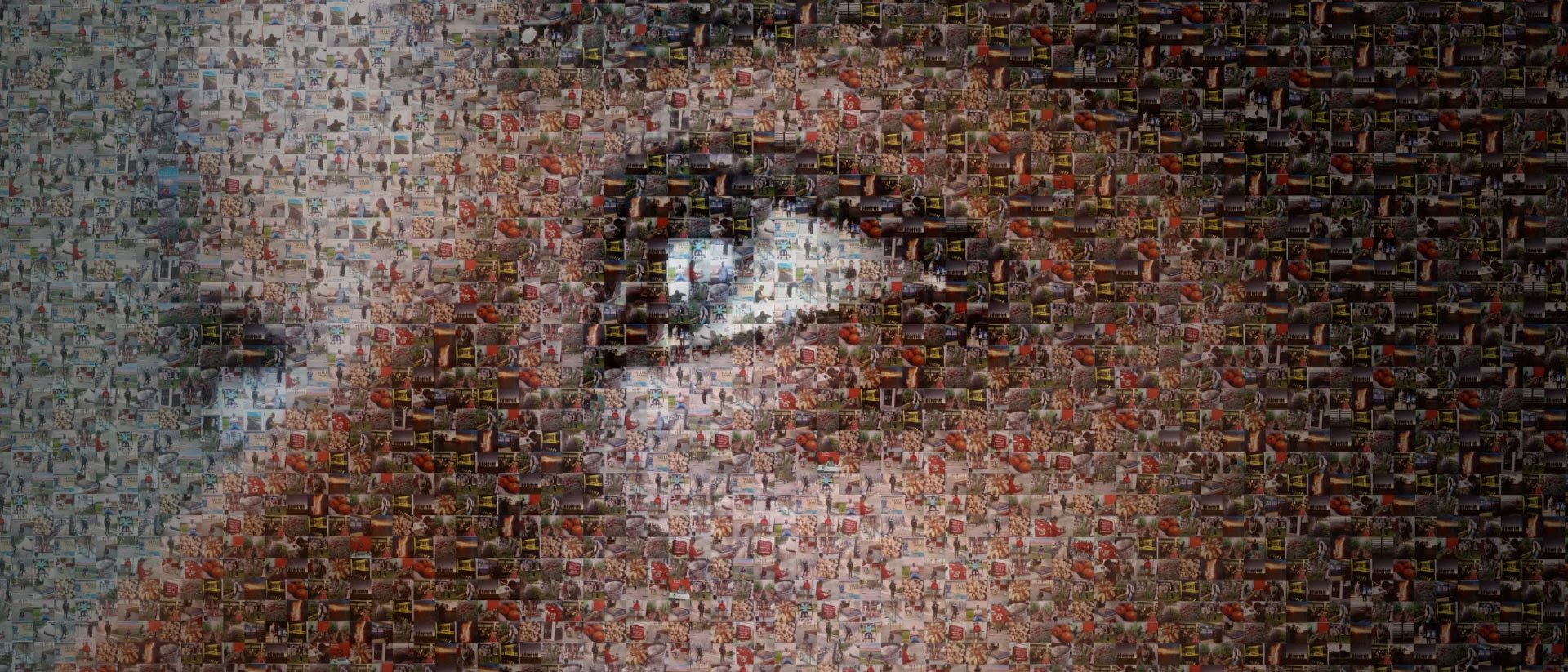 Photovoice