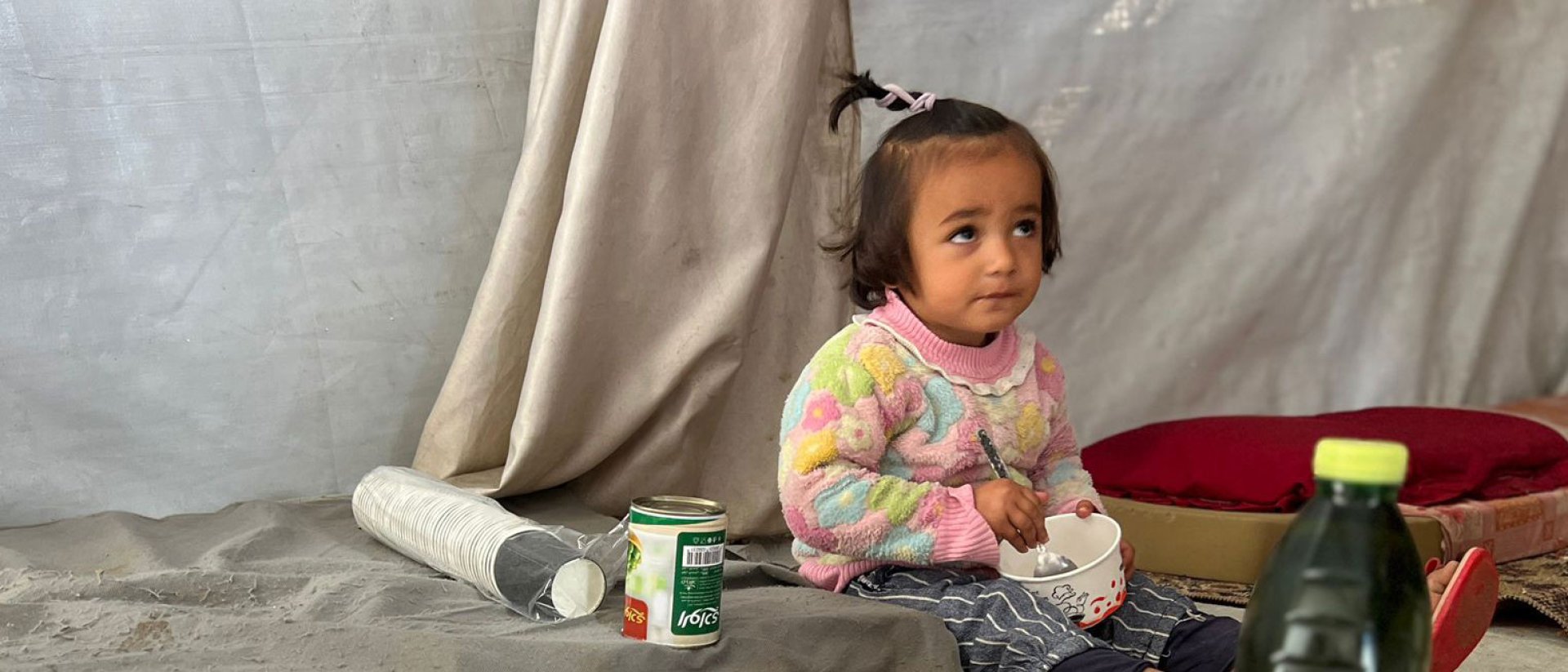 Gaza - Tregua. Tala, 3 años.