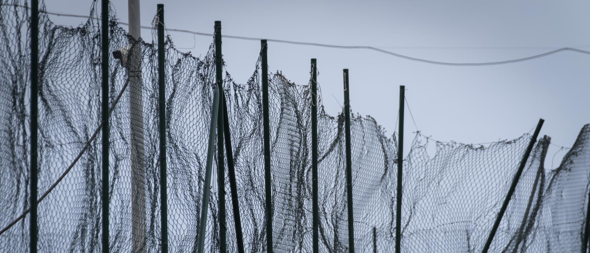 Crisis migratoria ceuta