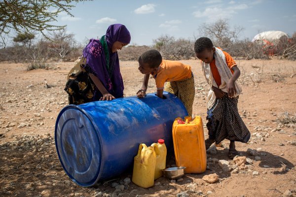 Kayd vive con sus padres y sus hermanos en una aldea en el sur de Somalia. Su familia solía tener una granja y ganado, incluidos camellos, con los que se alimentaban y ganaban la vida. Sin embargo, años de sequías consecutivas y plagas de langostas han destruido sus granjas y matado a gran parte de sus animales. Kayd vive con sus padres y sus hermanos en una aldea en el sur de Somalia. Su familia solía tener una granja y ganado, incluidos camellos, con los que se alimentaban y ganaban la vida. Sin embargo, años de sequías consecutivas y plagas de langostas han destruido sus granjas y matado a gran parte de sus animales.