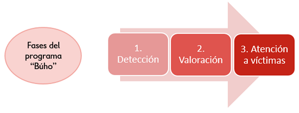 Fases Programa Buho