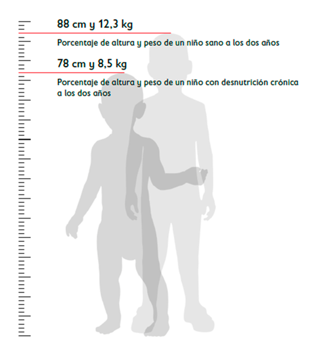 Infografía Desnutrición crónica
