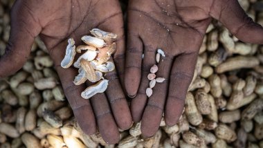 Crueldad climática - Zambia
