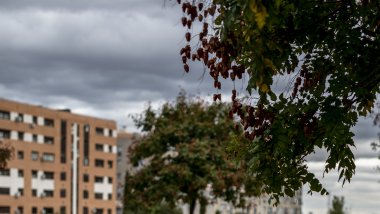 violencia sexual contra una niña gitana
