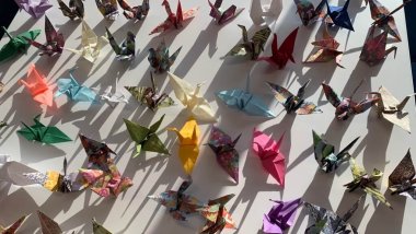 Ria origami