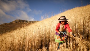 pobreza_infantil_peru_savethechildren.jpg